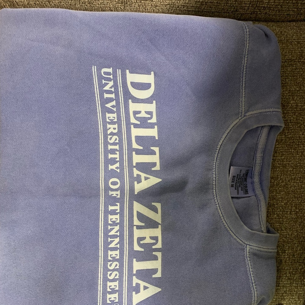 Comfort Colors Delta Zeta University of Tennessee sweatshirt